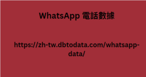 WhatsApp 電話數據