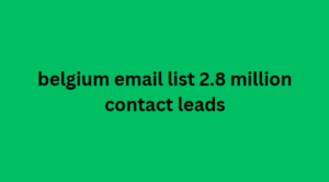 belgium email list 2.8 million contact leads