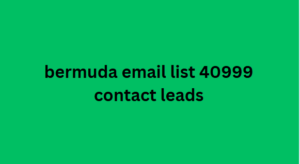 bermuda email list 40999 contact leads