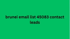 brunei email list 45083 contact leads