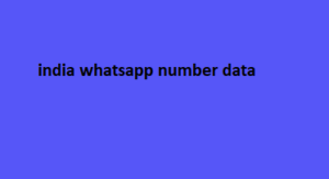 india whatsapp number data 