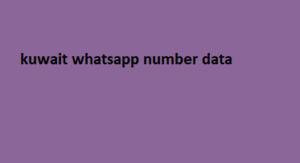 kuwait whatsapp number data 