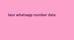 laos whatsapp number data