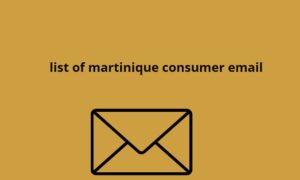 list of martinique consumer email