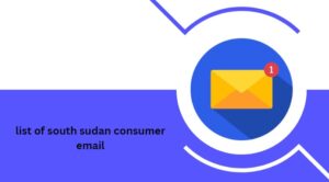 list of south sudan consumer email